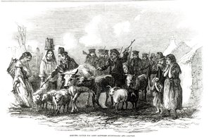 1849年12月29日の「The Illustrated London News」より、ウクテラードとゴールウェイの間で家畜を借りる 作： English School